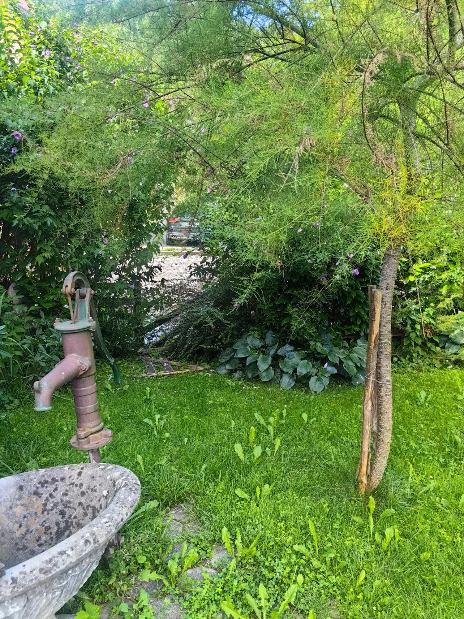 Hisa Hortenzija Luče Exterior foto